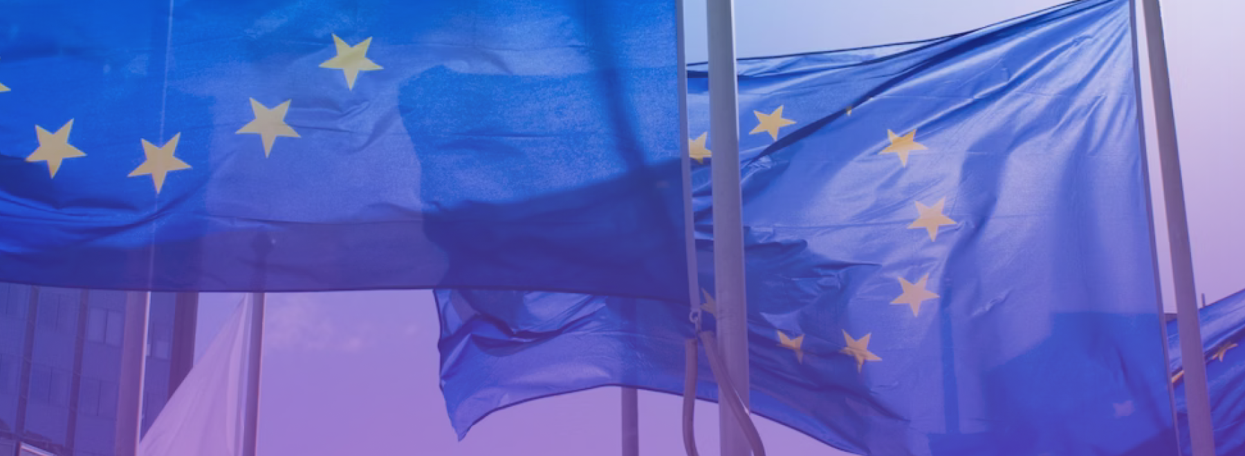 European Parliament