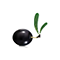 olive-lights-logo.png
