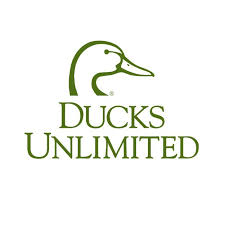 Ducks' Logo