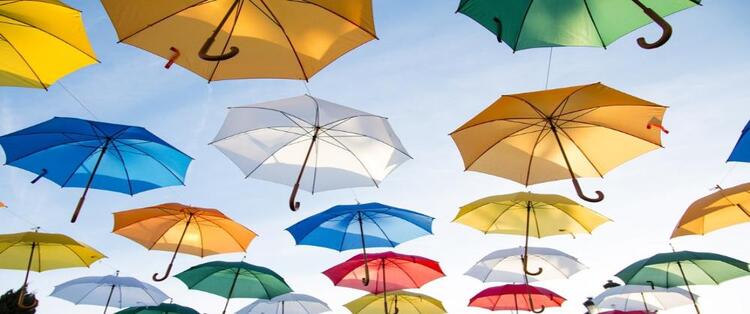 umbrella push&pull-resize1000x419.jpg